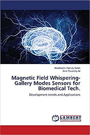 abdelkreem , amir.jpg